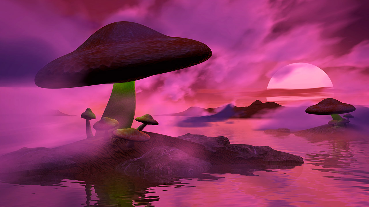 Martian Mushroom Marsh - 2023